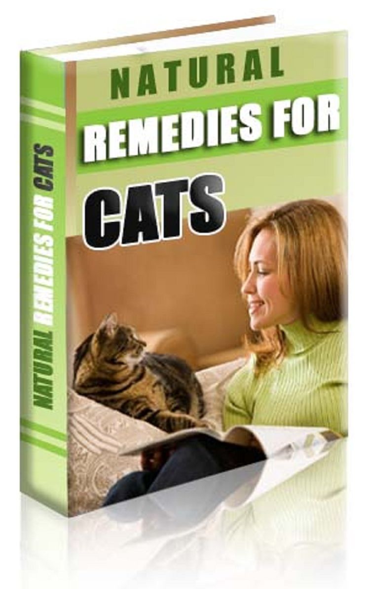 Natural Remedies for Cats