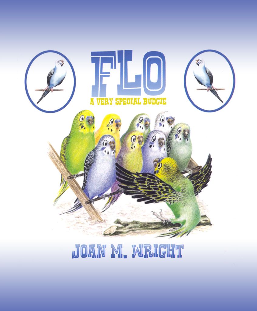 Flo: A Very Special Budgie