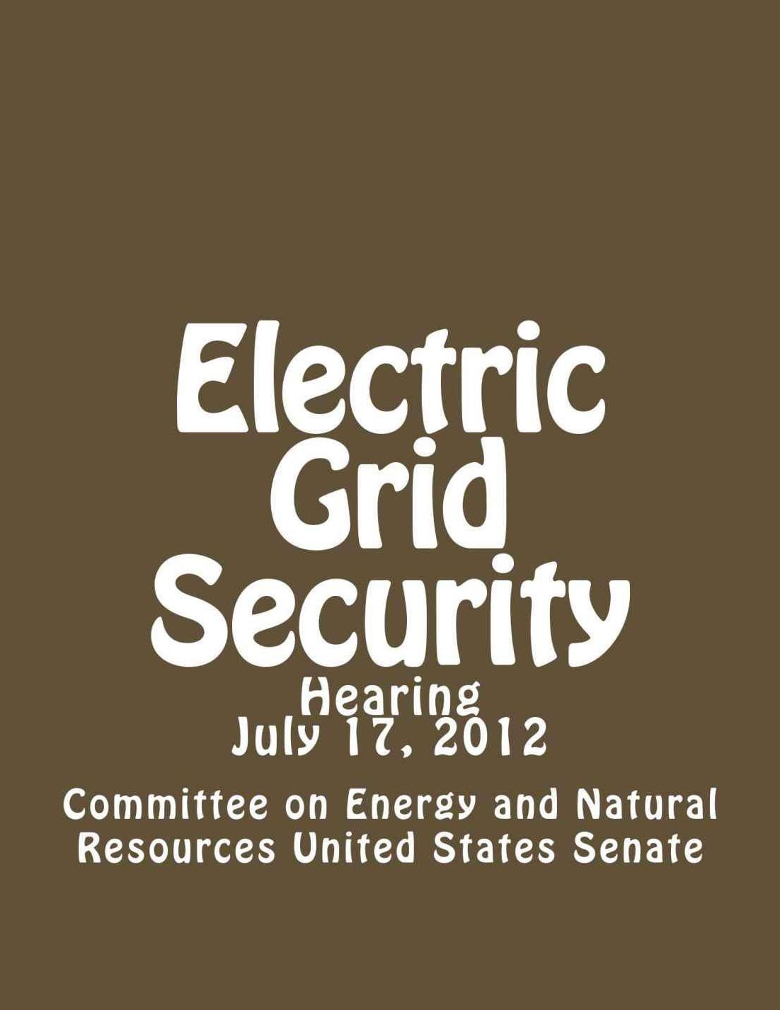 Electric Grid Security