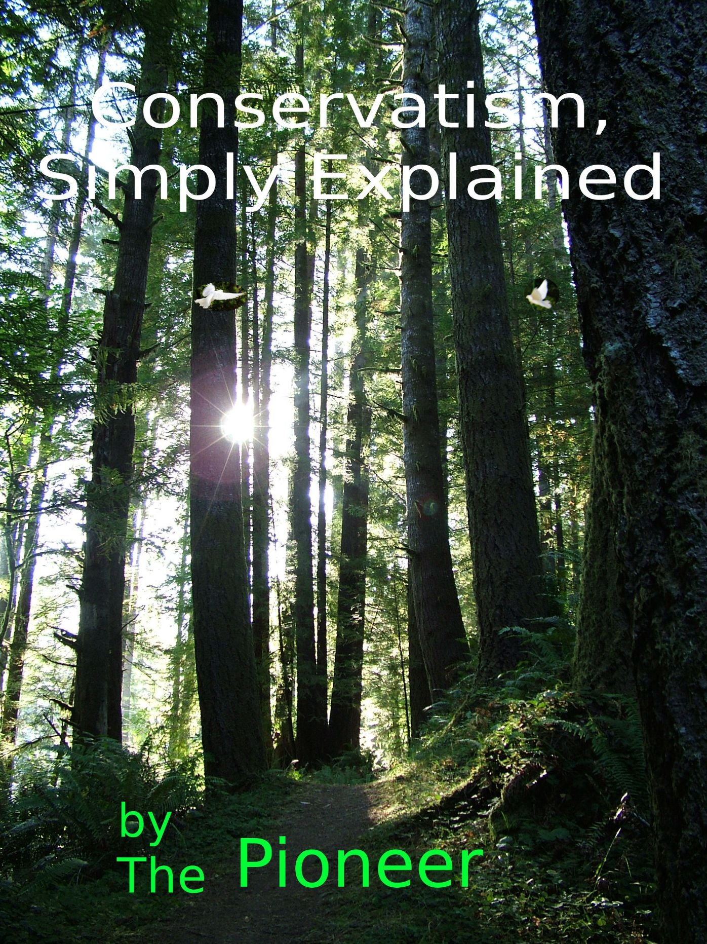 Conservatism, Simply Explained: Now It All Makes Sense