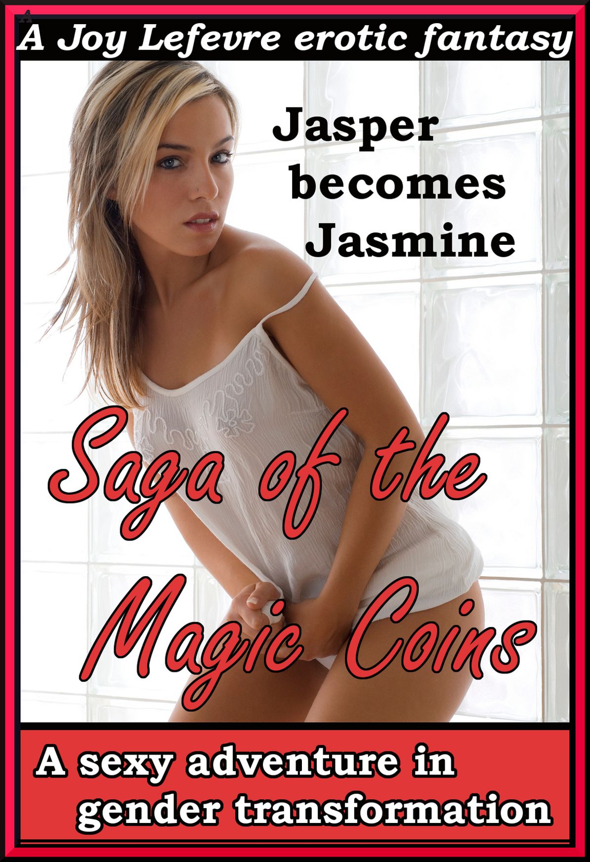 Saga of the Magic Coins: A sexy adventure in gender transformation