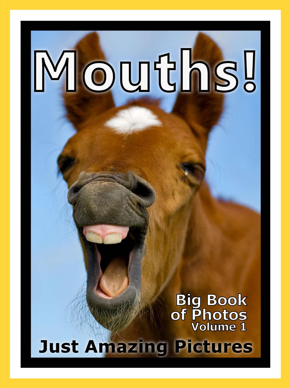 Just Mouth Photos! Big Book of Photographs & Pictures of People and Animal Mouths, Vol. 1