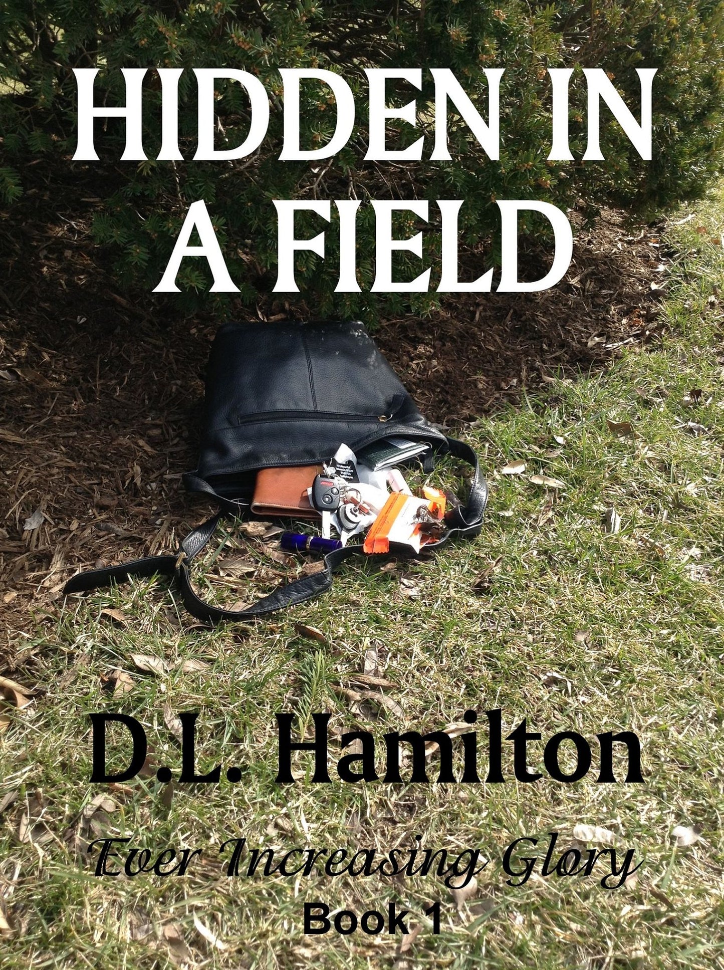 Hidden in a Field