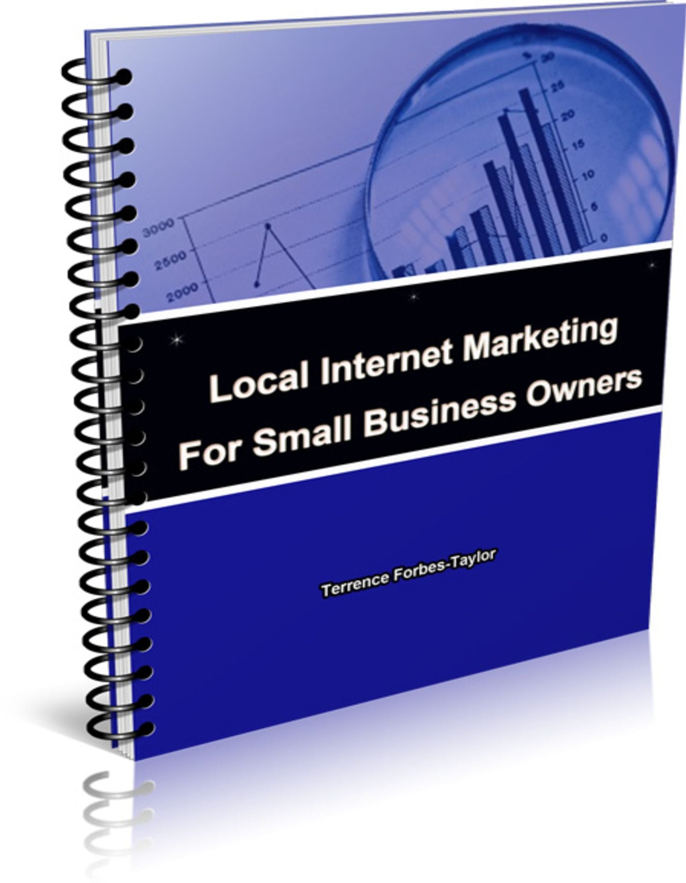Local Internet Marketing For Small Busines Owners: A Quick And Easy To Understand Guide