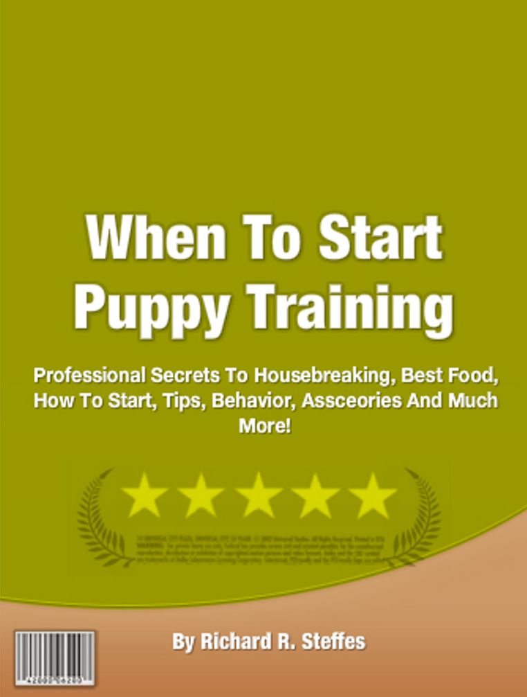 When To Start Puppy Training: Professional Secrets To Housebreaking, Best Food, How To Start, Tips, Behavior, Assceories And Much More!