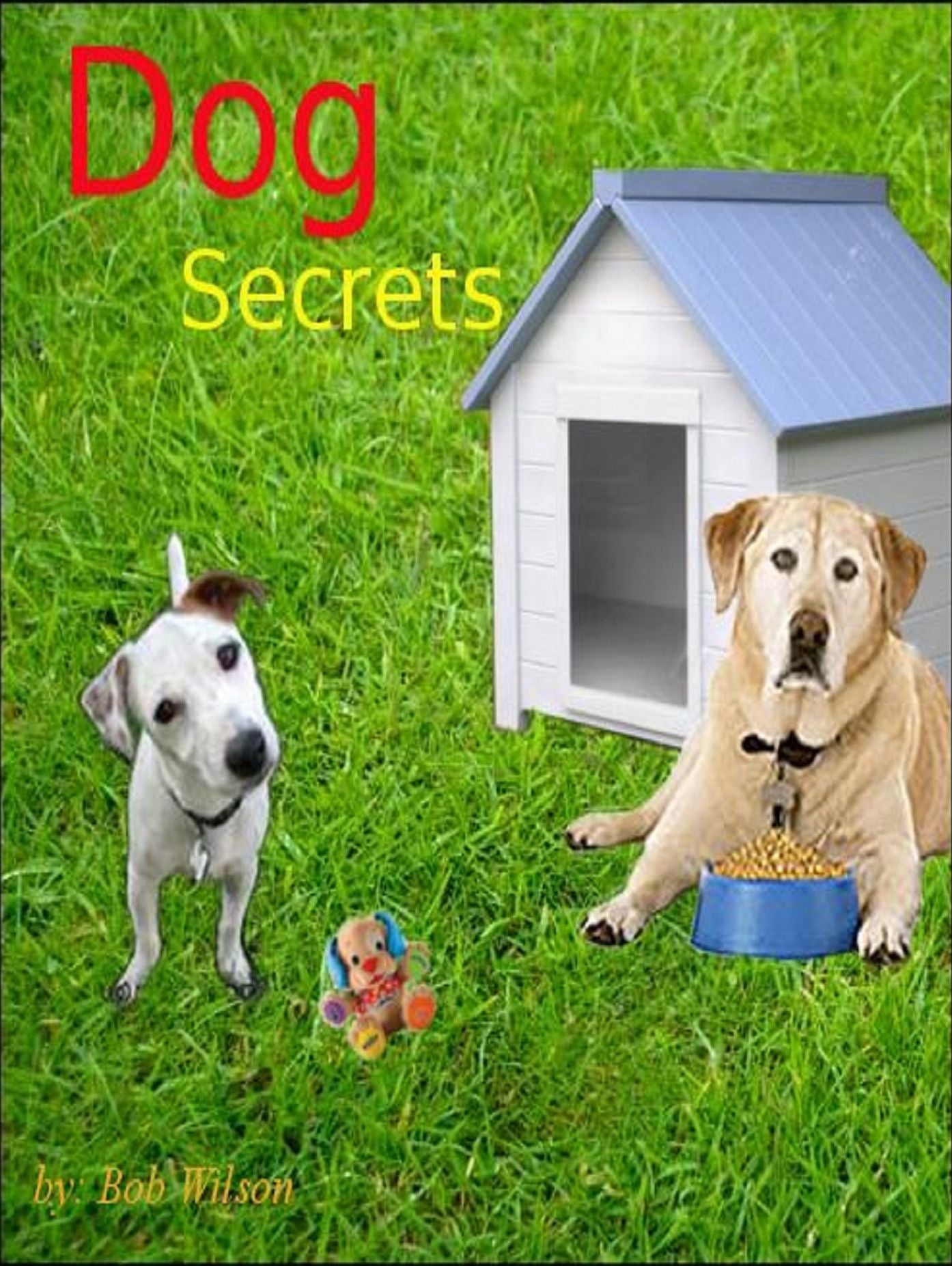 Dog Secrets