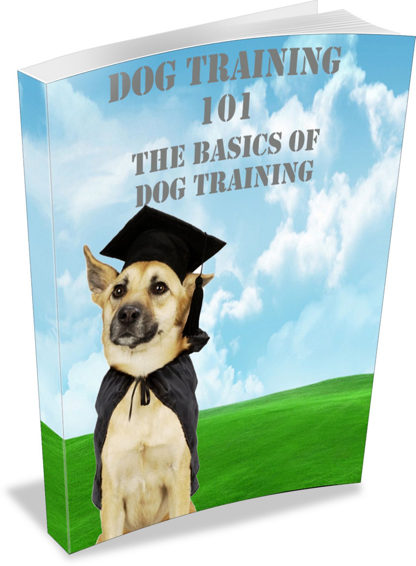 Dog Training 101: Learn The Basics Of Dog Training Fast! AAA+++