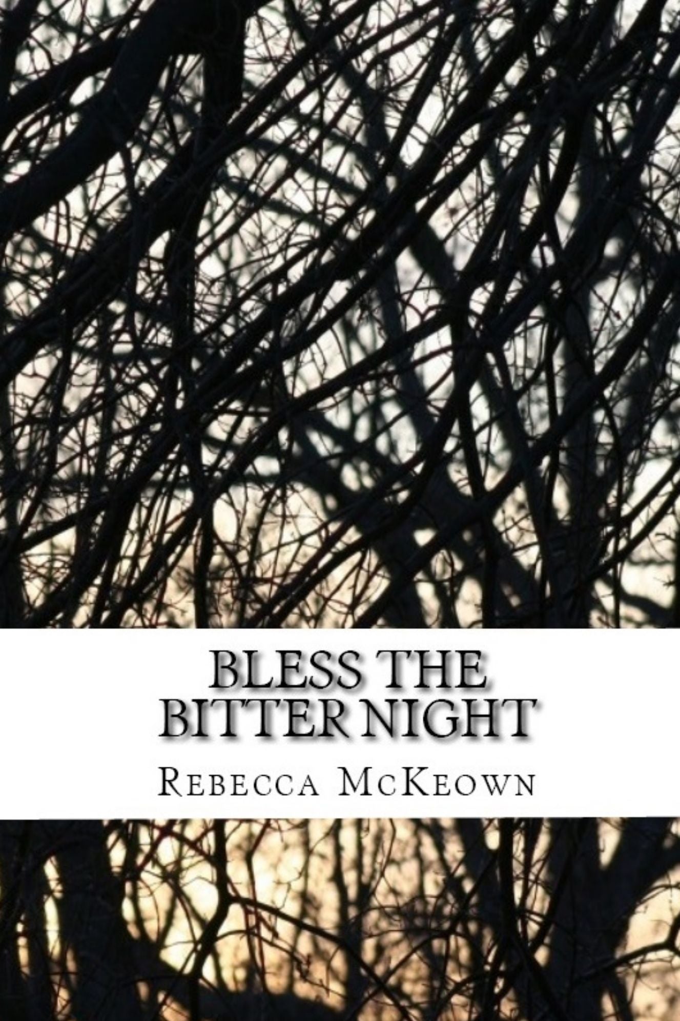 Bless The Bitter Night: Poems About Failed Love In The Modern World