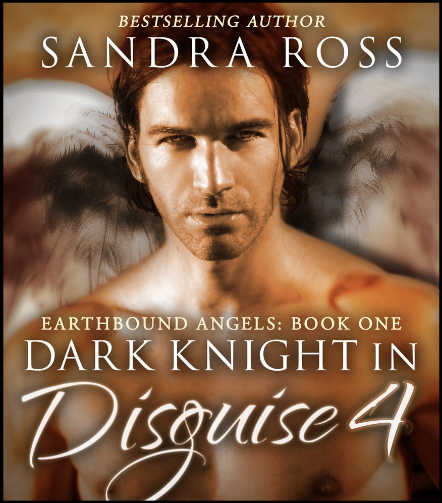 Dark Knight in Disguise IV: Earthbound Angels 1