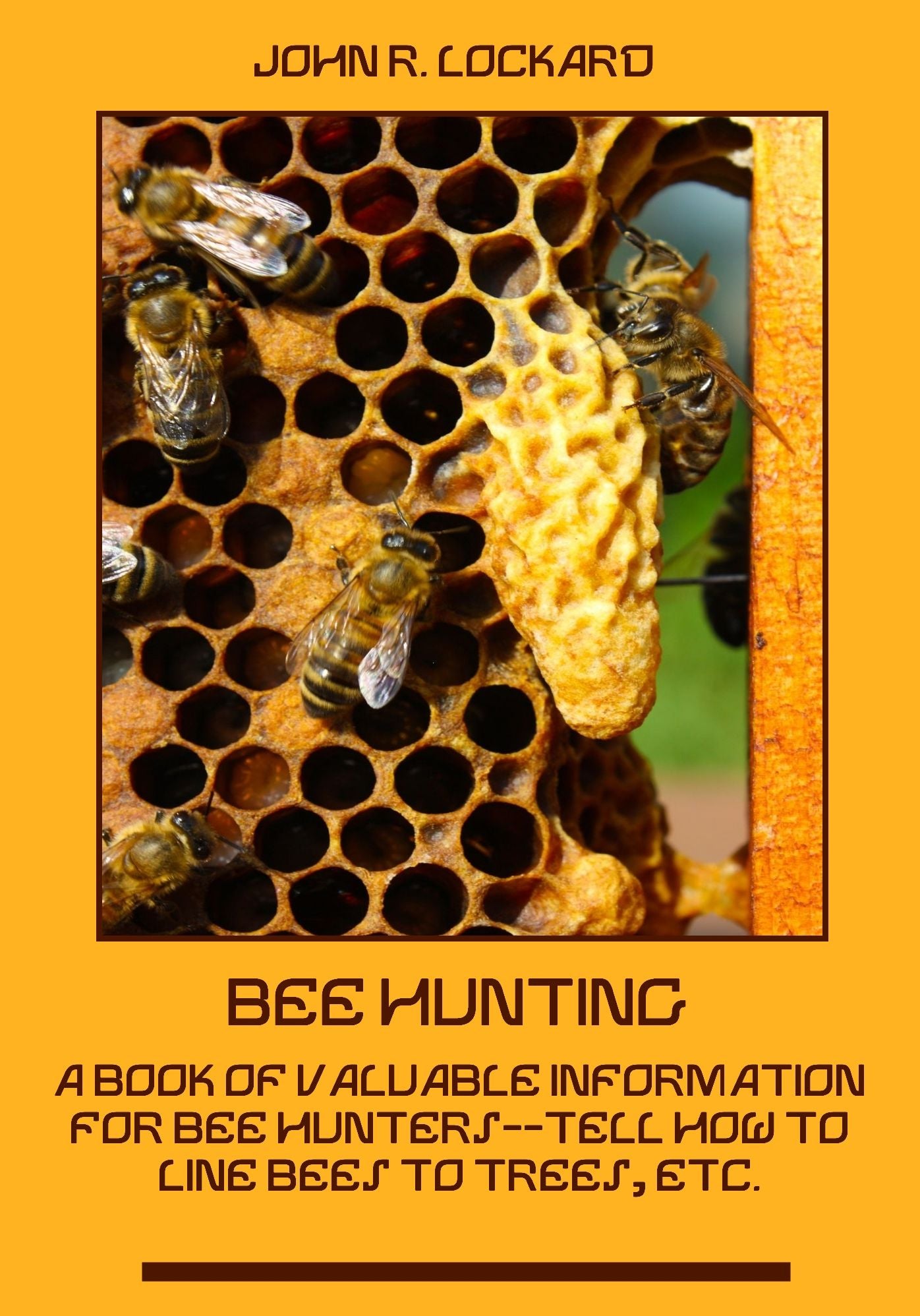 Bee Hunting : A Book of Valuable Information for Bee Hunters - Tell How to Line Bees to Trees, etc. (Illustrated)