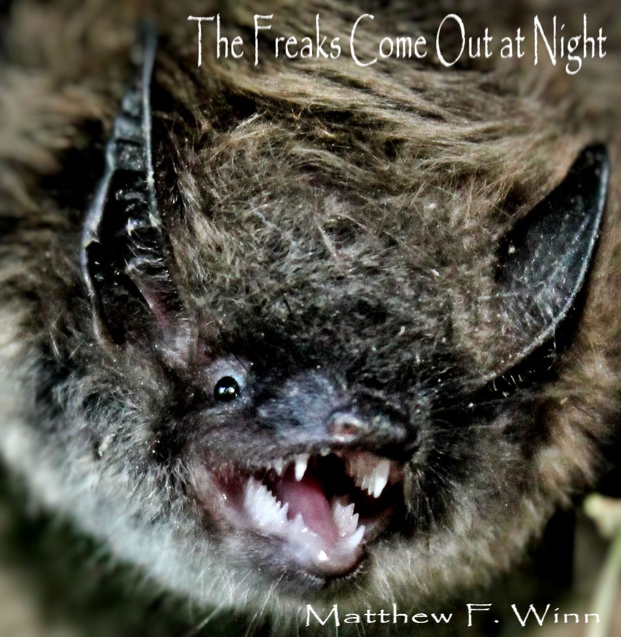 Freaks Come Out At Night