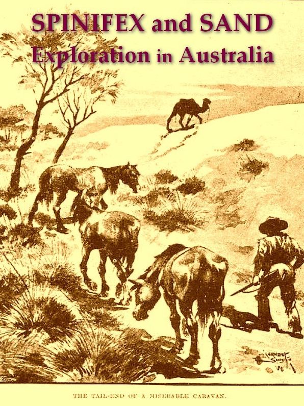 Spinifex and Sand