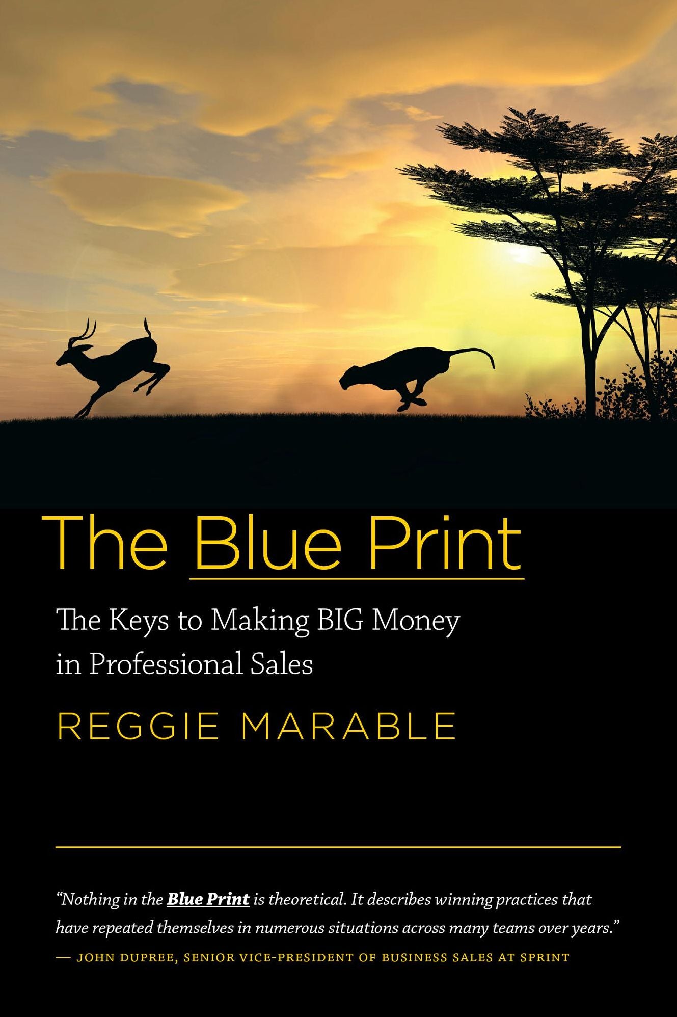 The Blue Print The Keys to Making BIG Money in Professional Sales