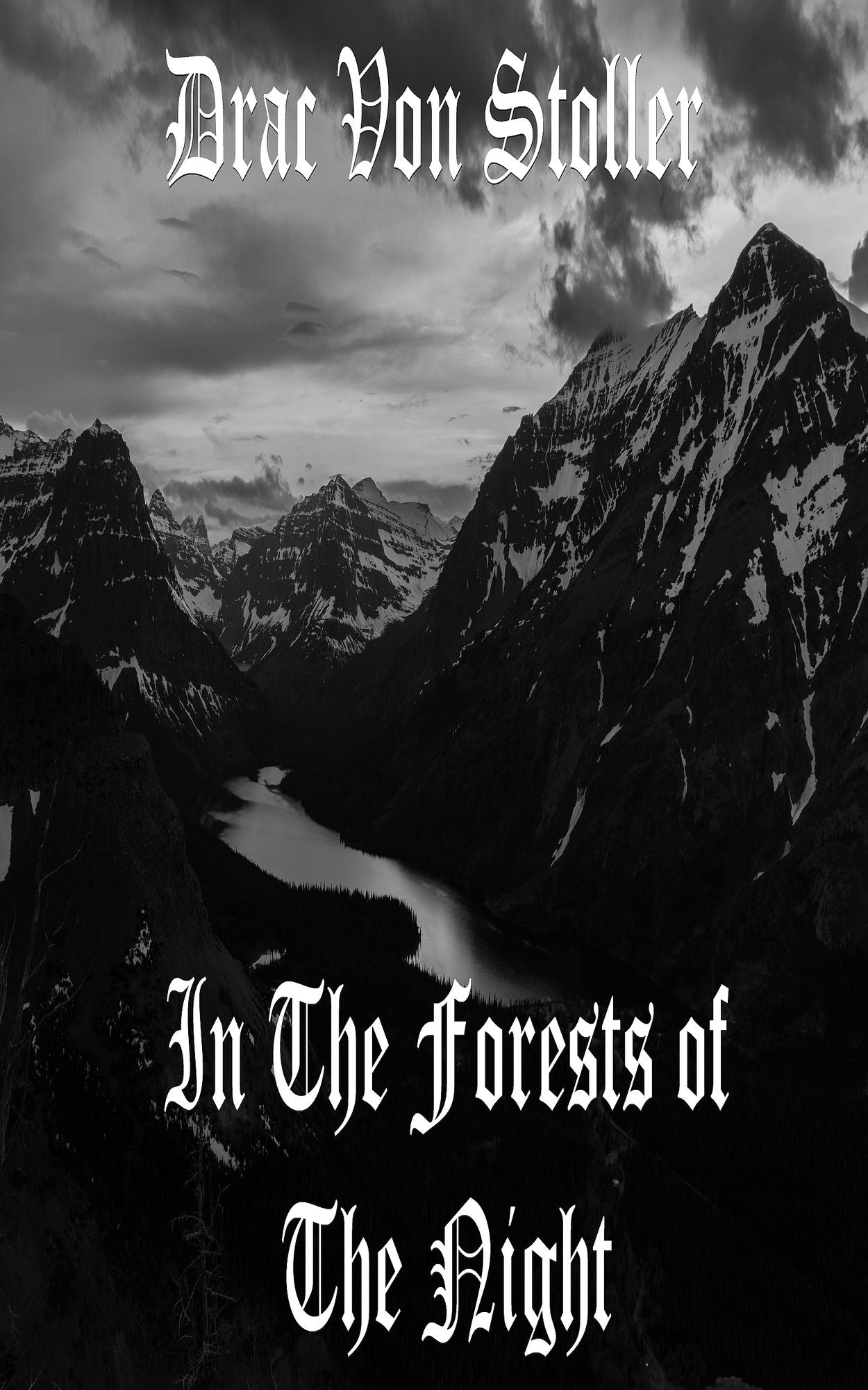 In The Forests of The Night