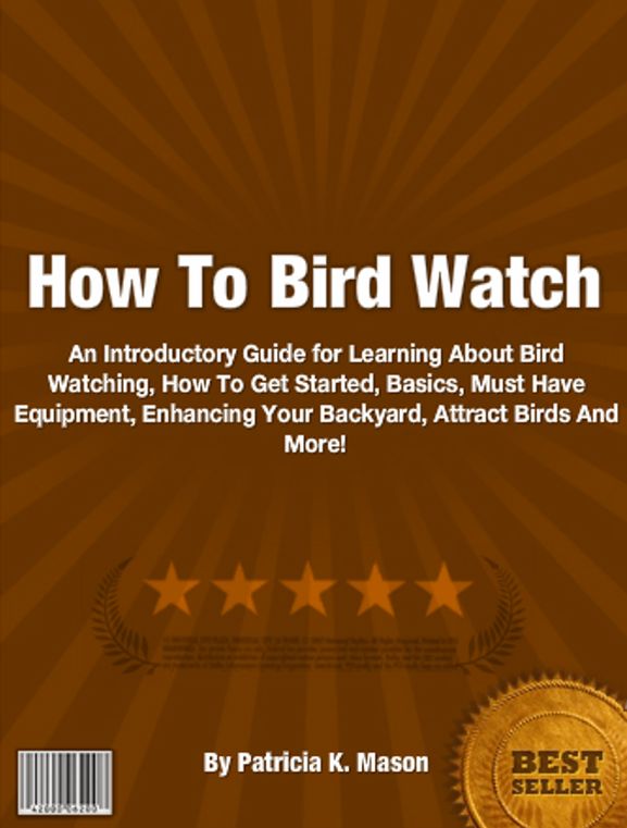 How To Bird Watch: An Introductory Guide for Learning About Bird Watching, How To Get Started, Basics, Must Have Equipment, Enhancing Your Backyard, Attract Birds And More!