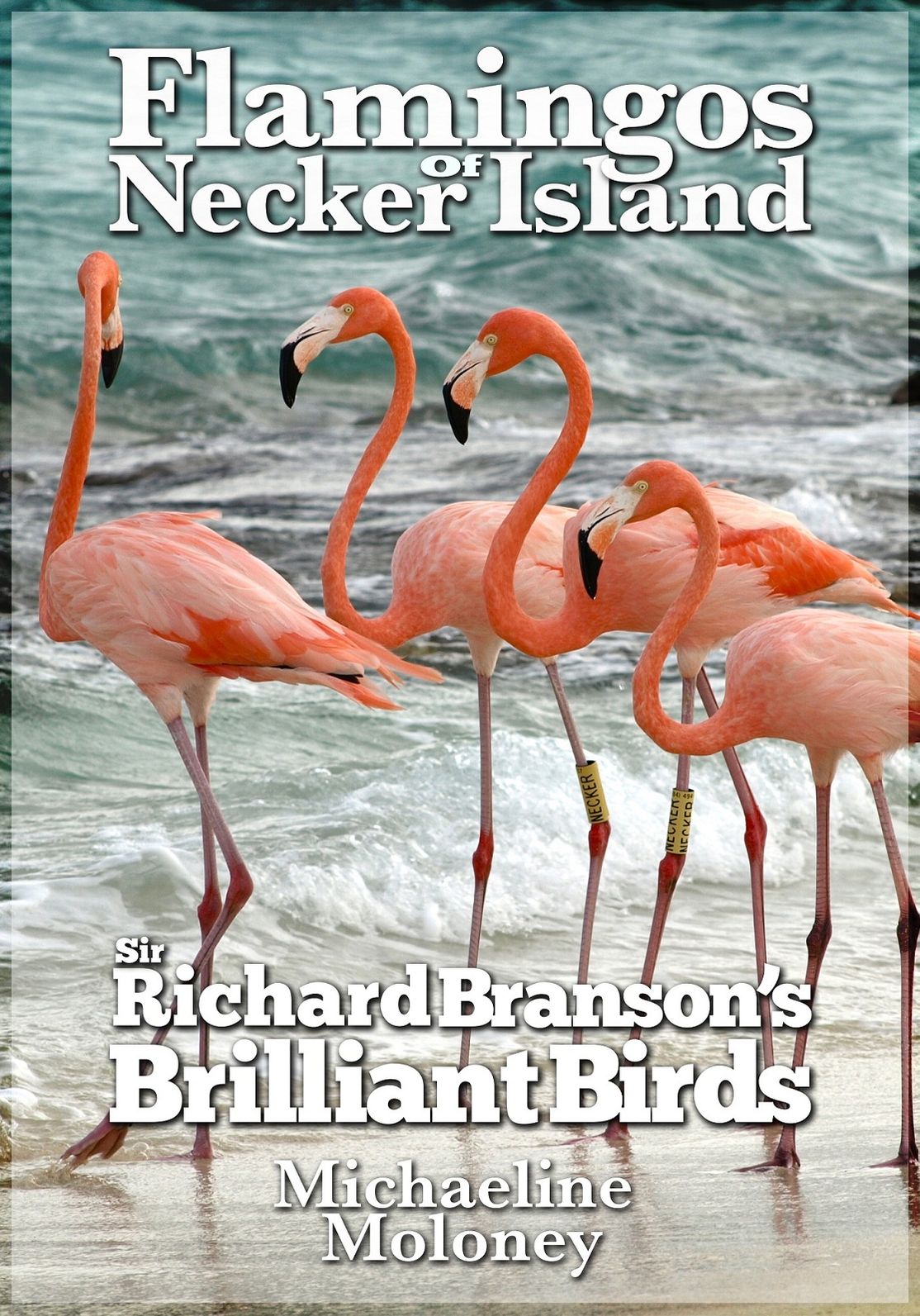 Flamingos of Necker Island: Sir Richard Branson's Brilliant Birds
