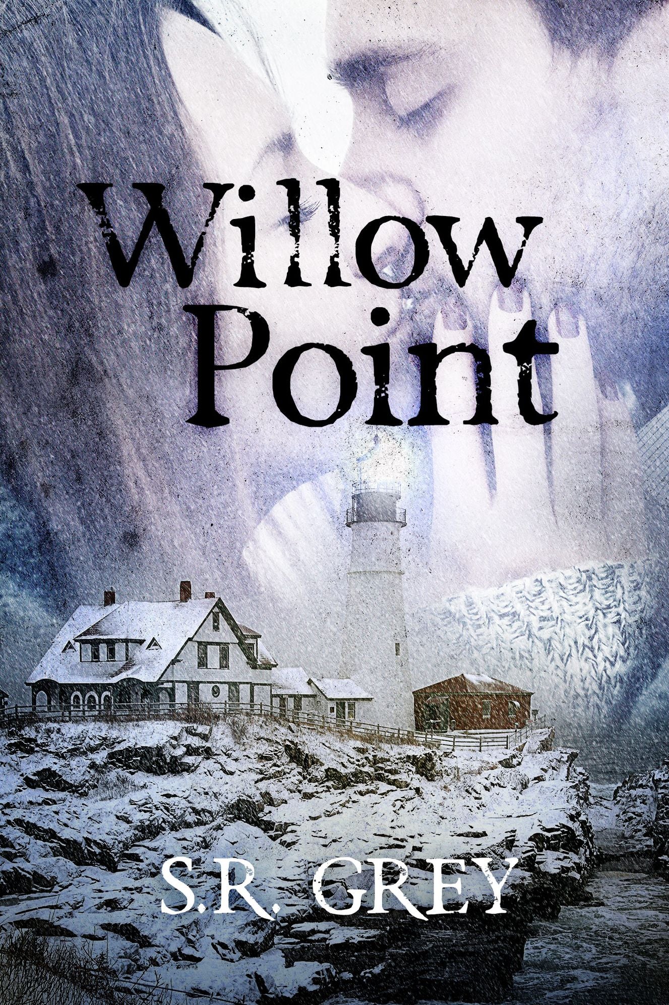 Willow Point: A Harbour Falls Mystery #2