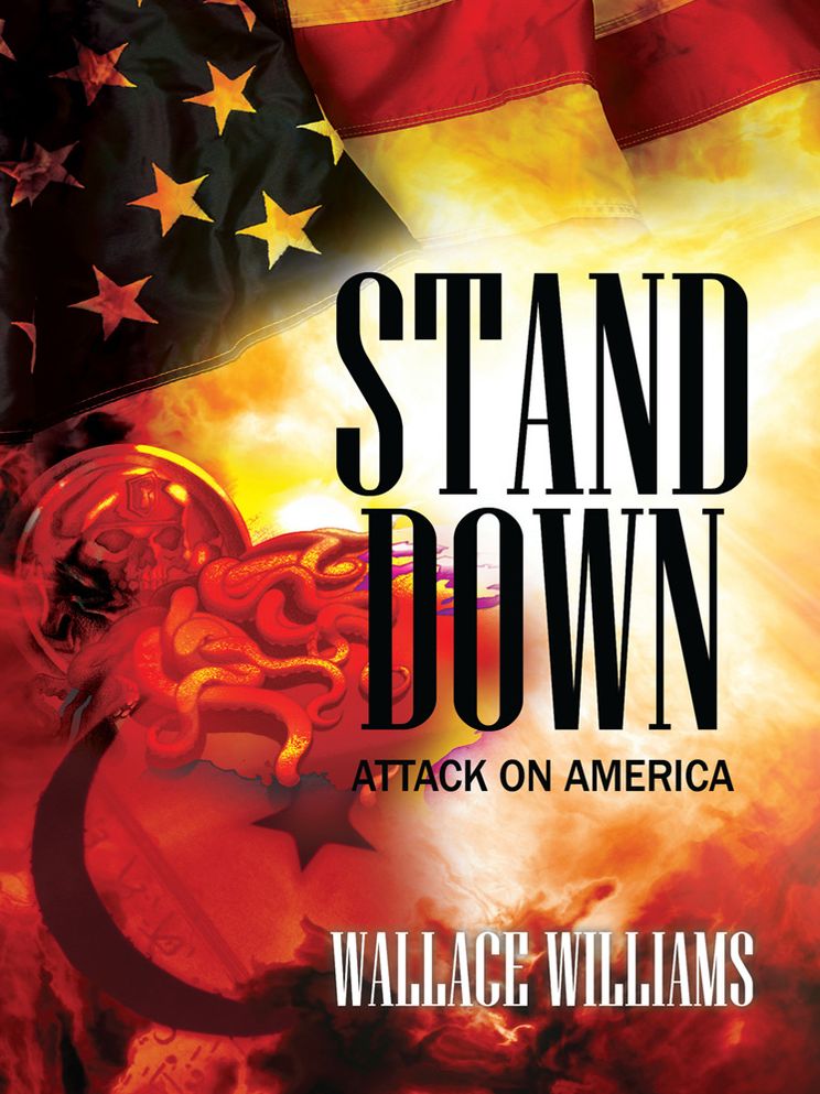 STAND DOWN: Attack on America