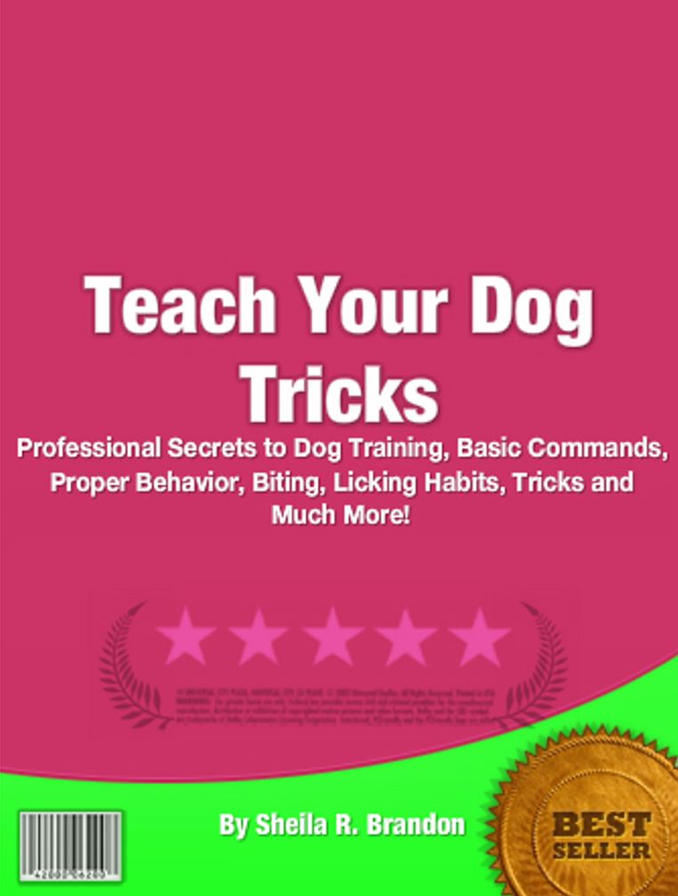 Teach Your Dog Tricks: Professional Secrets To Dog Training, Basic Commands, Proper Behavior, Biting, Licking Habits, Tricks And Much More!