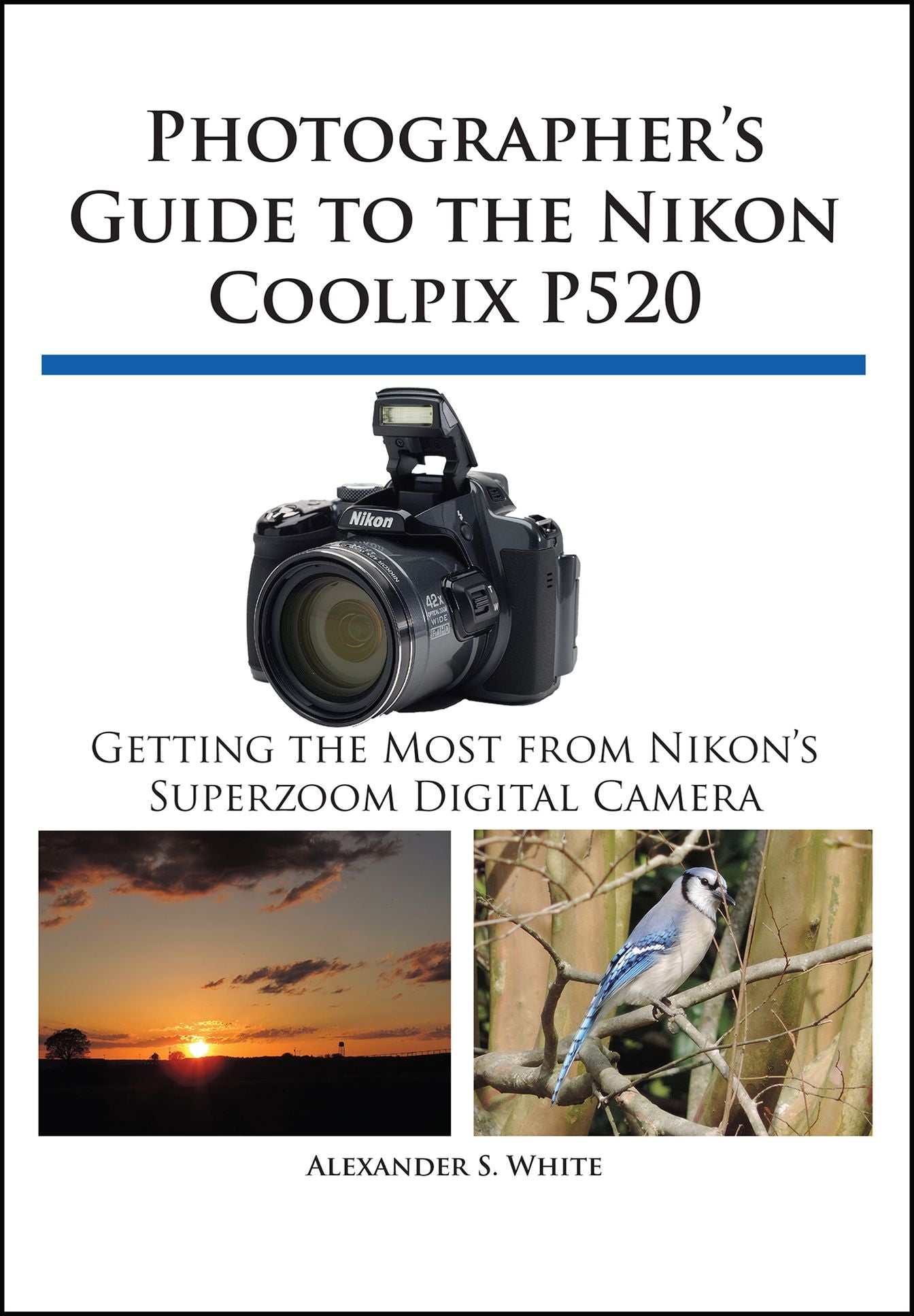 Photographer's Guide to the Nikon Coolpix P520