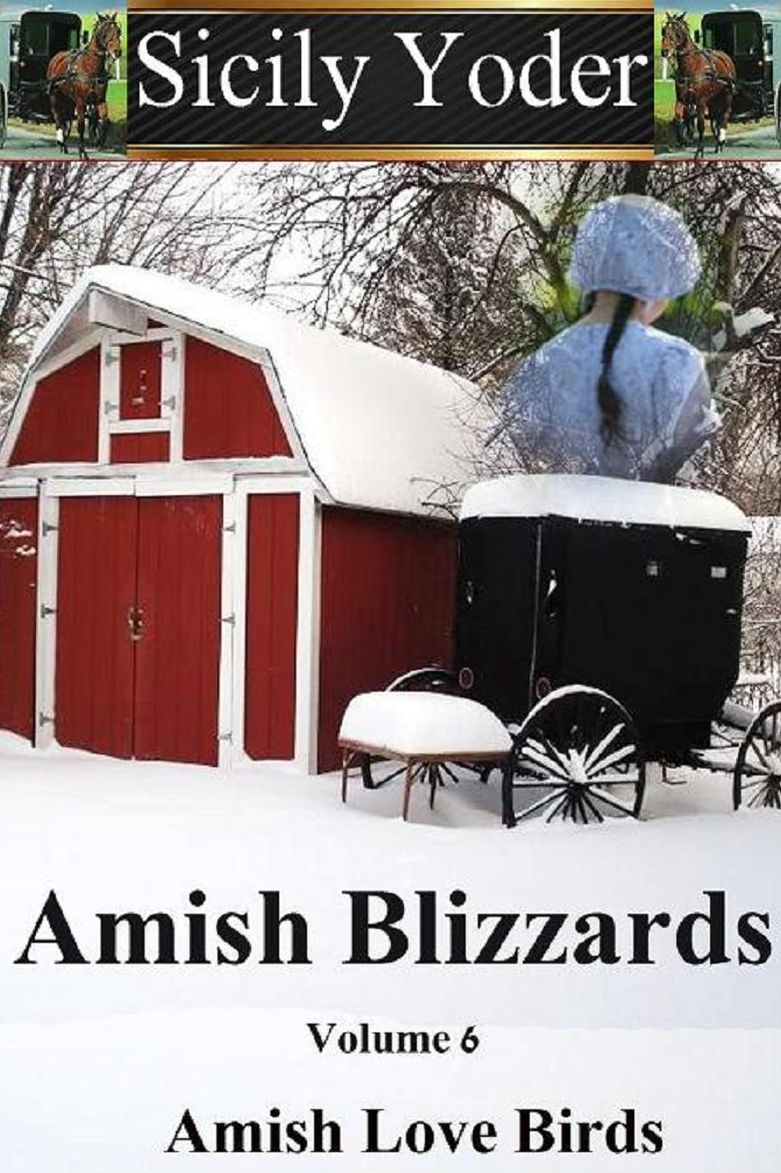 Amish Blizzards: Volume Six: Amish Love Birds (An Amish Romance, Christian Fiction Short-Story Continuing Series)