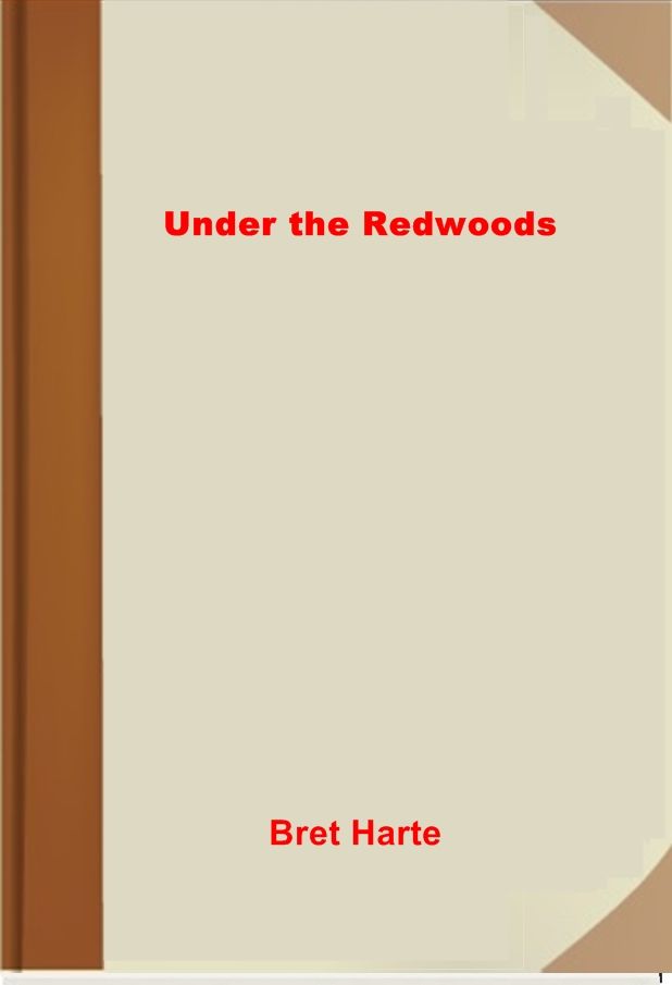 Under the Redwoods