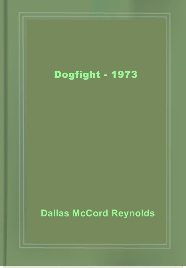 Dogfight - 1973