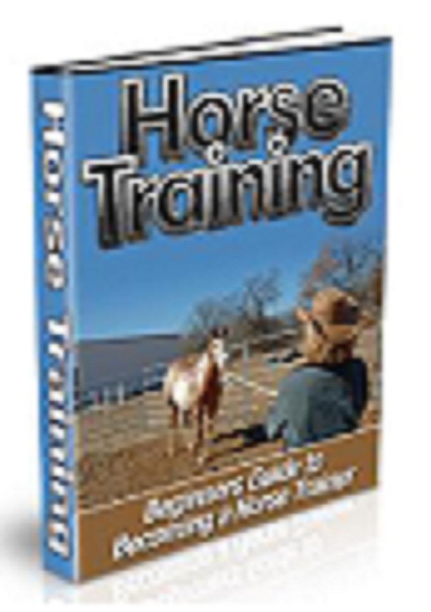 Beginner's Guide To Becoming A Horse Trainer