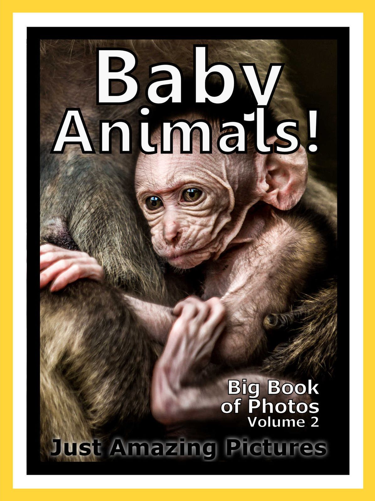 Just Baby Animal Photos! Big Book of Photographs & Pictures of Baby Animals, Vol. 2
