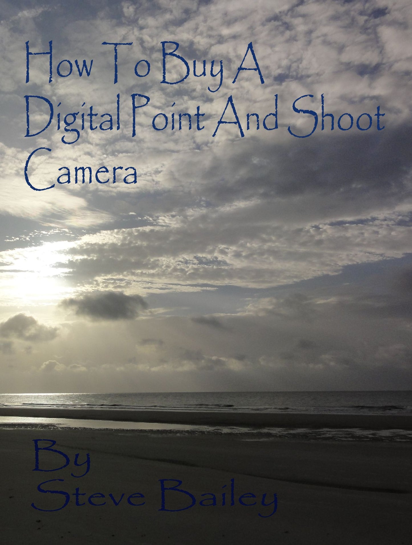 How To Buy A Digital Point And Shoot Camera