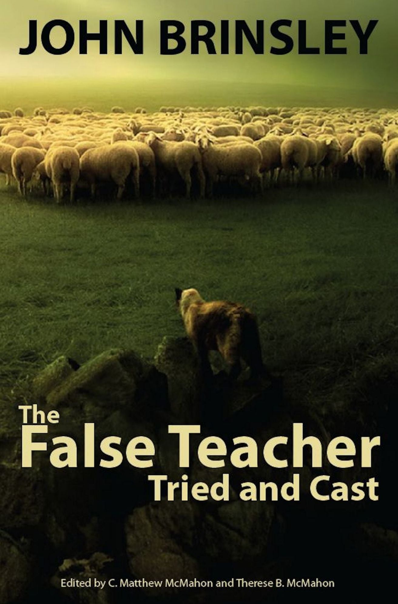 The False Teacher Tried and Cast