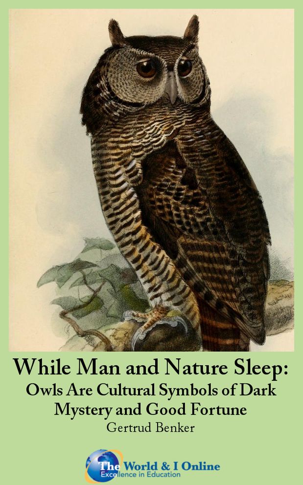 While Man and Nature Sleep: Owls Are Cultural Symbols of Dark Mystery and Good Fortune