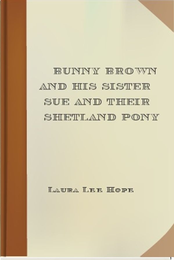 Bunny Brown and His Sister Sue and Their Shetland Pony