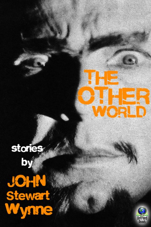 The Other World: Stories by John Stewart Wynne