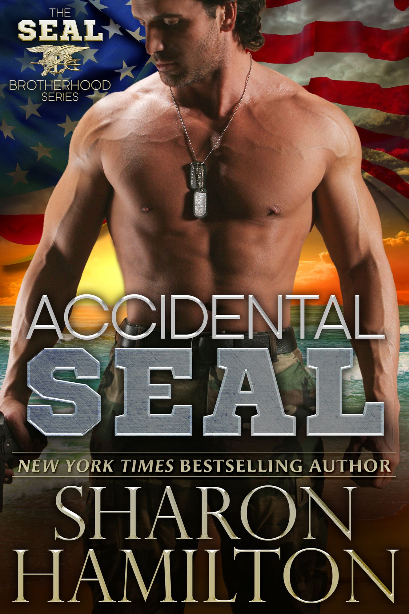 Accidental SEAL (SEAL Brotherhood Series #1)