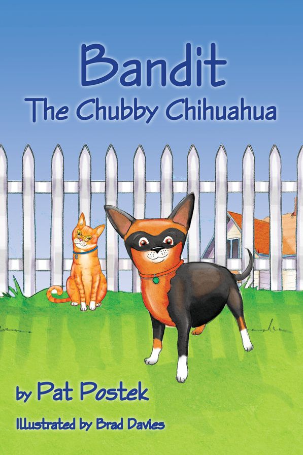 Bandit, The Chubby Chihuahua