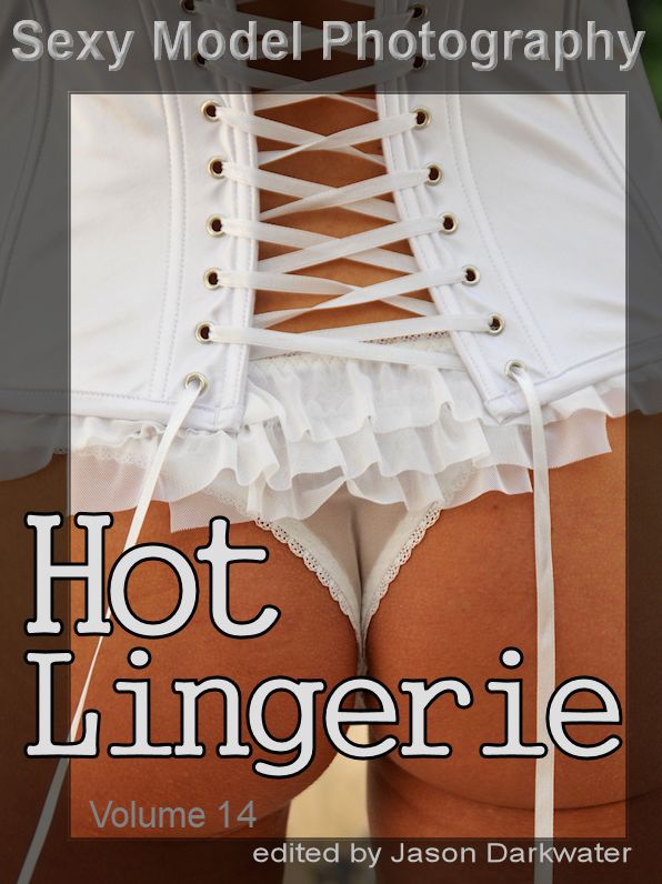 Sexy Model Photography: Hot Lingerie, Photos & Pictures of Girls, Babes, Women, & Chicks, Ass, Butts, Breasts, Boobs, & Tits in Panties, Bras, and Underwear, Vol. 14