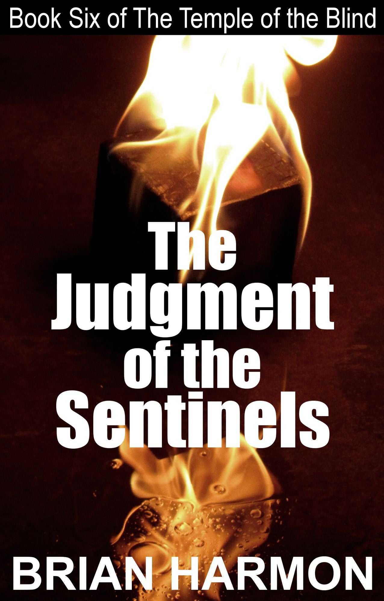 The Judgment of the Sentinels (The Temple of the Blind #6)