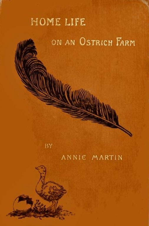Home Life On An Ostrich Farm