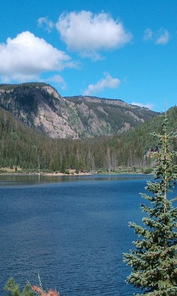 The Clean Water Act, AKA The Federal Water Pollution Act as Amended by the CWA of 1977