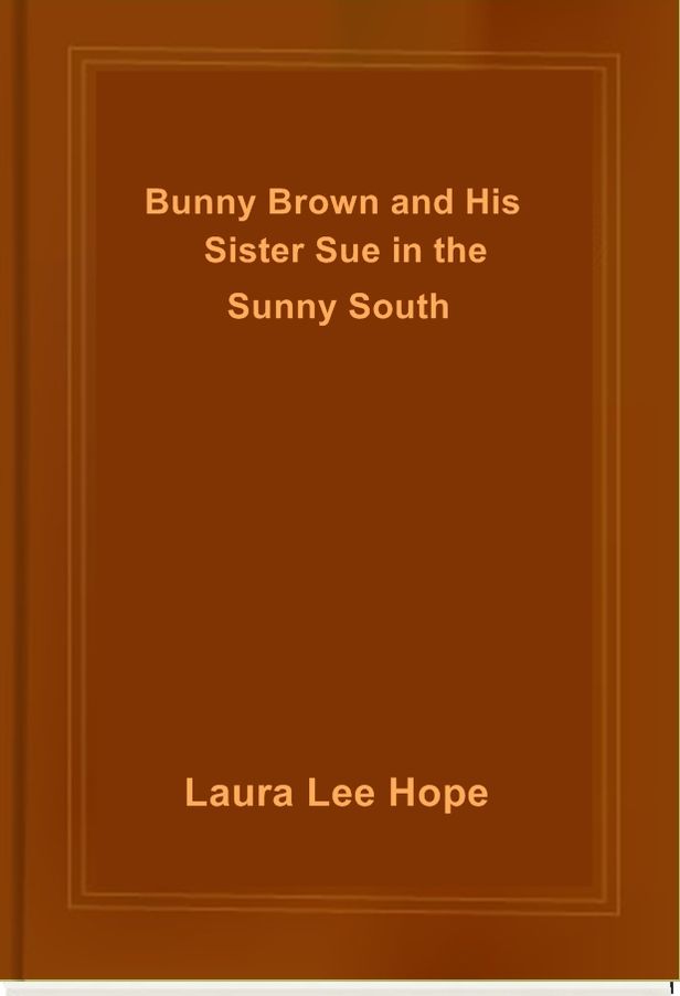 Bunny Brown and His Sister Sue in the Sunny South