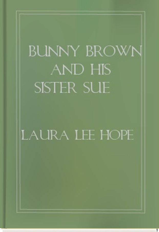 Bunny Brown and His Sister Sue Keeping Store