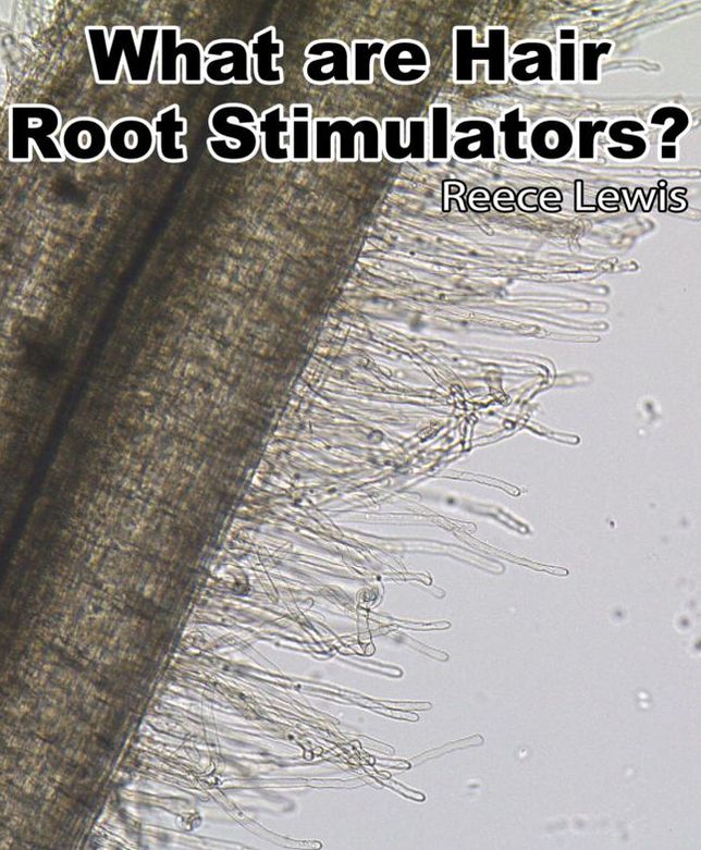 What are Hair Root Stimulators?