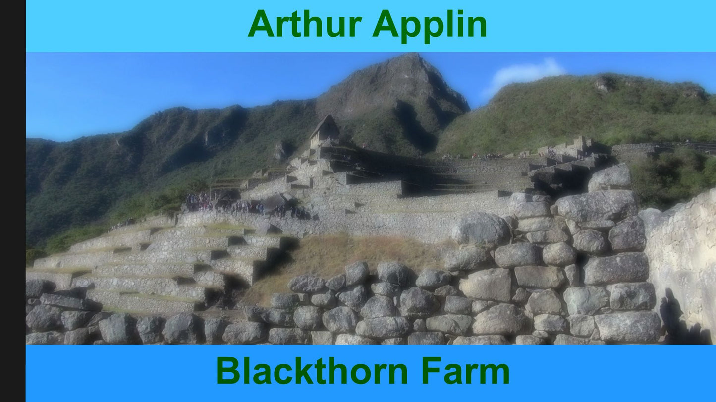 Blackthorn Farm