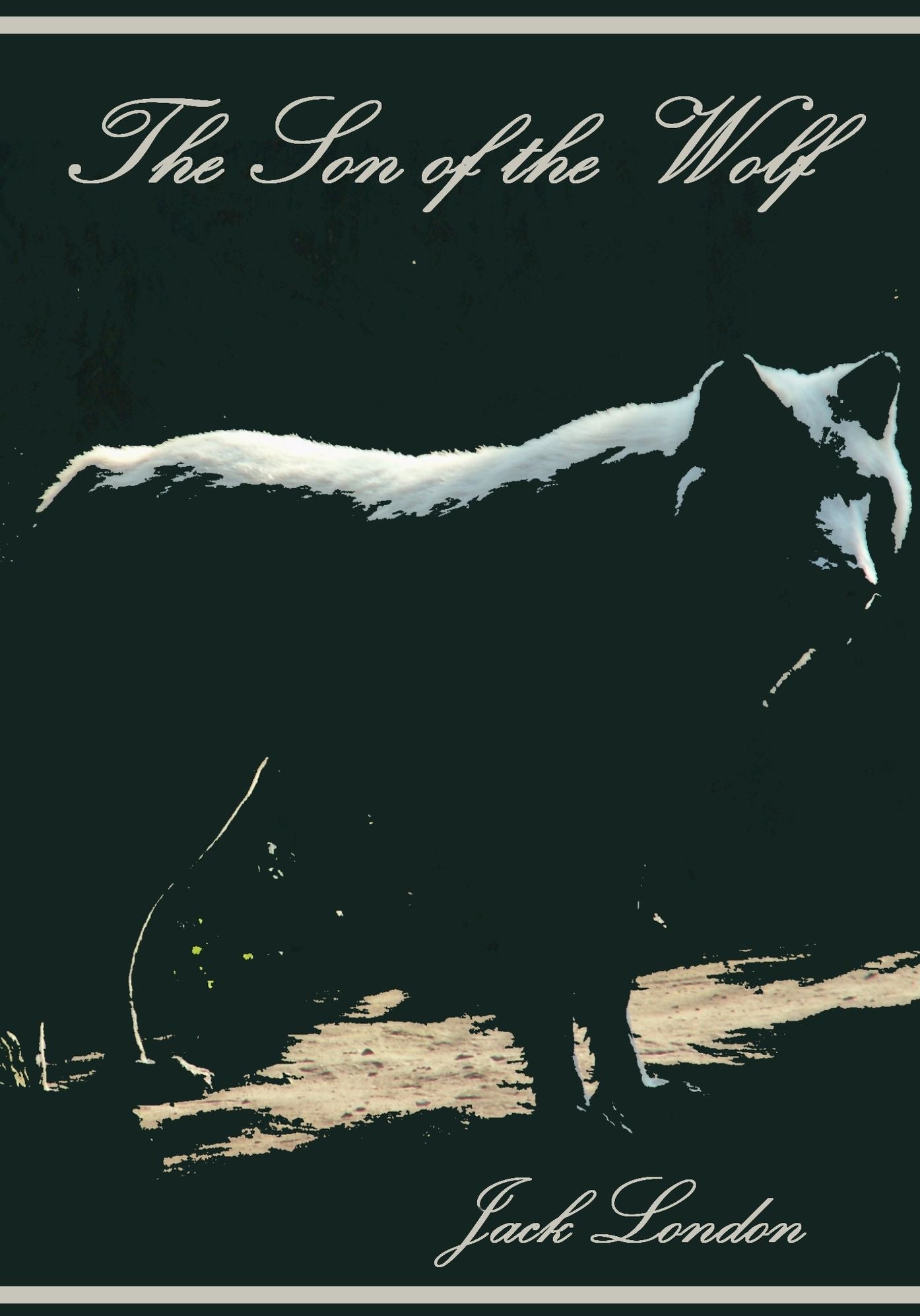 The Son of the Wolf (Illustrated)