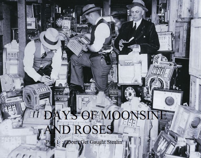 Days Of Moonshine And Roses Part 1