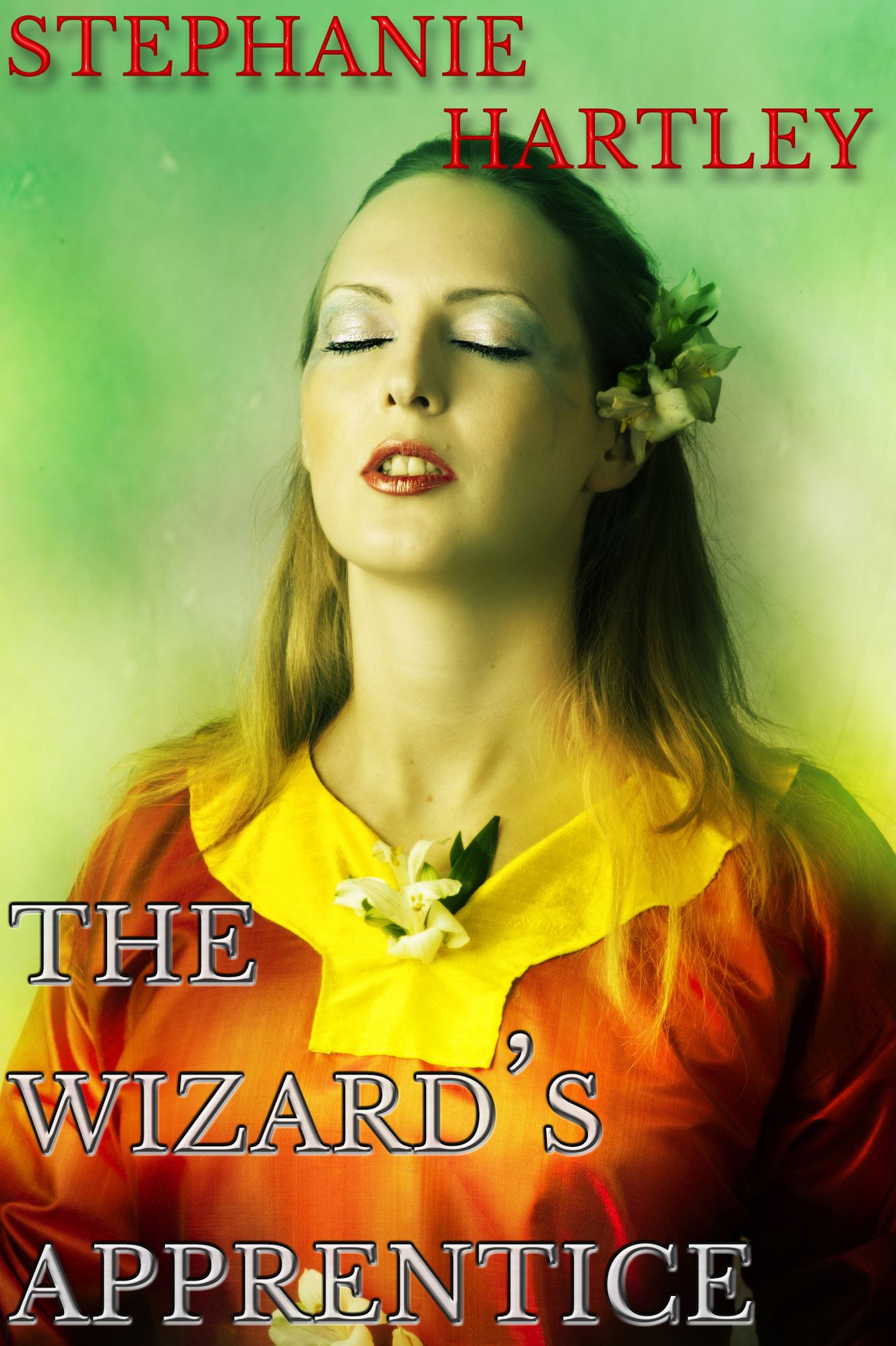 The Wizard's Apprentice