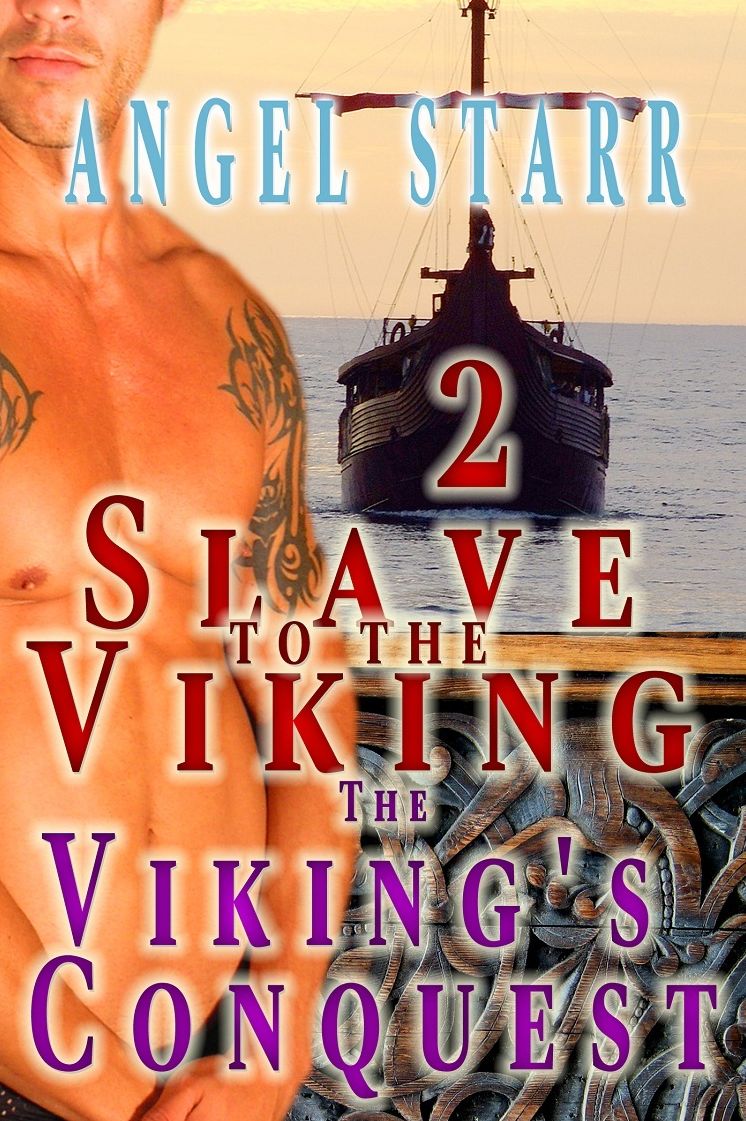 Slave to the Viking 2 (Gay Viking Erotic Romance)