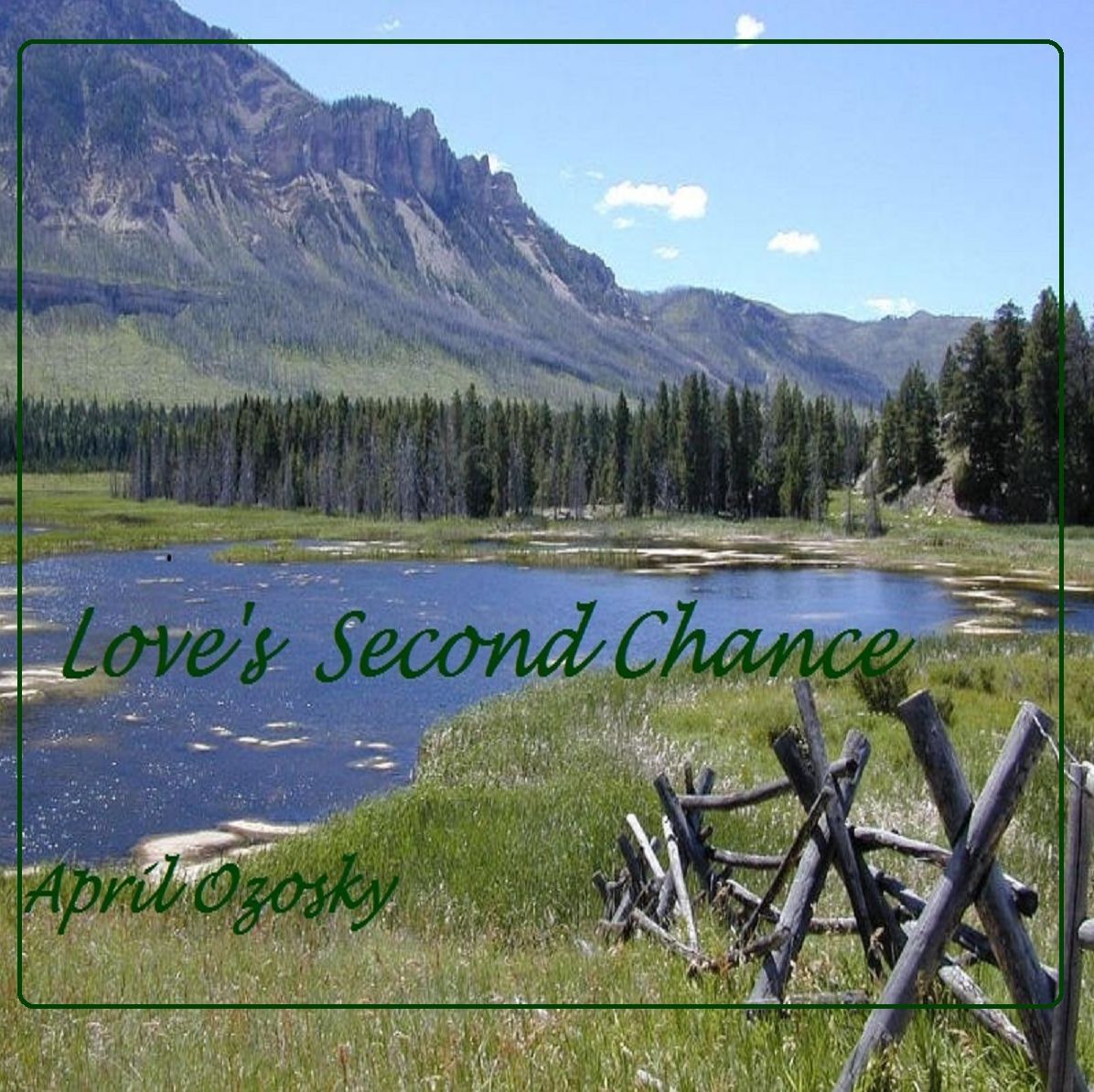 Love's Second Chance