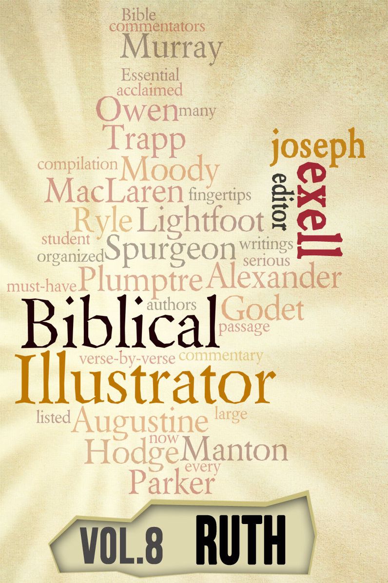 The Biblical Illustrator - Vol. 8 - Pastoral Commentary on Ruth